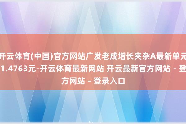 开云体育(中国)官方网站广发老成增长夹杂A最新单元净值为1.4763元-开云体育最新网站 开云最新官方网站 - 登录入口