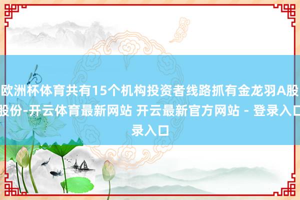 欧洲杯体育共有15个机构投资者线路抓有金龙羽A股股份-开云体育最新网站 开云最新官方网站 - 登录入口