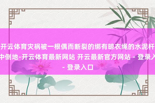 开云体育灾祸被一根偶而断裂的绑有晾衣绳的水泥杆砸中倒地-开云体育最新网站 开云最新官方网站 - 登录入口