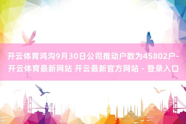 开云体育鸿沟9月30日公司推动户数为45802户-开云体育最新网站 开云最新官方网站 - 登录入口