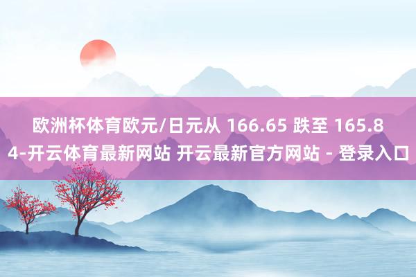 欧洲杯体育欧元/日元从 166.65 跌至 165.84-开云体育最新网站 开云最新官方网站 - 登录入口