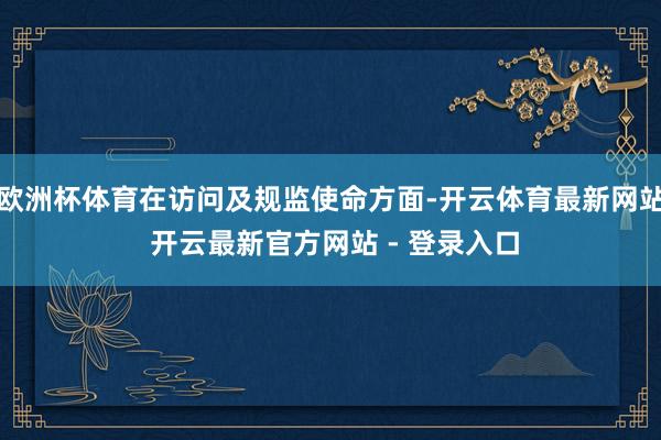 欧洲杯体育在访问及规监使命方面-开云体育最新网站 开云最新官方网站 - 登录入口