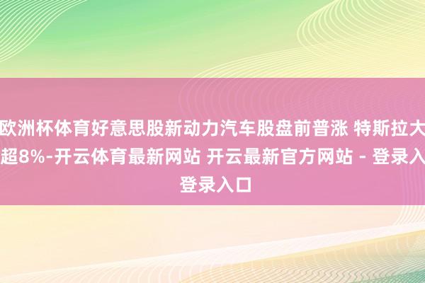 欧洲杯体育好意思股新动力汽车股盘前普涨 特斯拉大涨超8%-开云体育最新网站 开云最新官方网站 - 登录入口