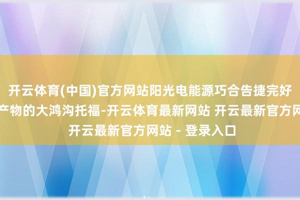 开云体育(中国)官方网站阳光电能源巧合告捷完好意思高压平台产物的大鸿沟托福-开云体育最新网站 开云最新官方网站 - 登录入口